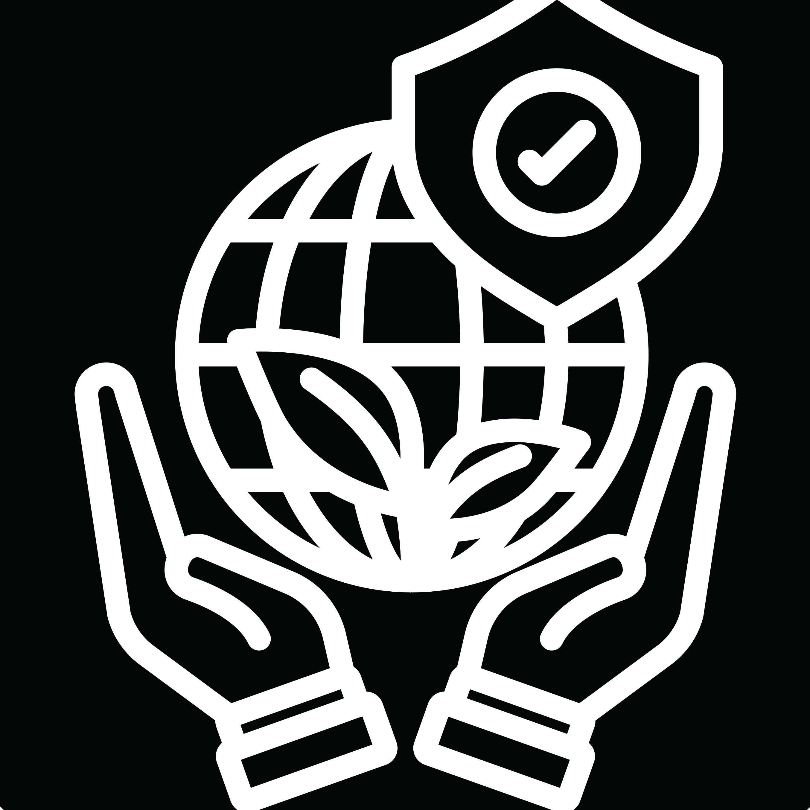 icon image of a globe with a badge on it held inside two palms
